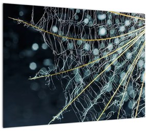Tablou pe sticlă - Floare cu pânză de pâianjen (70x50 cm)