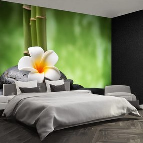 Fototapet Spa flori