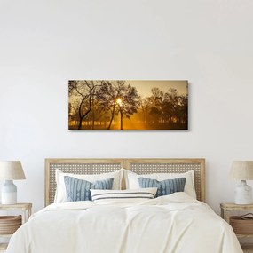Tablou cu răsăsrit de soare (120x50 cm)