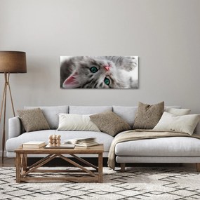 Tablou - Pisica cu ochi verzi (120x50 cm)