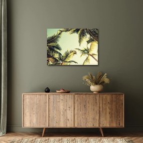 Tablou - Palmieri de cocos (70x50 cm)