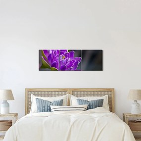 Tablou floarei (cu ceas) (90x30 cm)