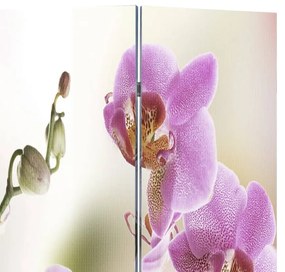 Paravan de camera pliabil, 120 x 170 cm, flori Roz, 3