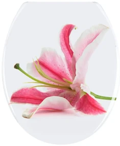 Capac WC Wenko Orchid, 45 x 37,5 cm
