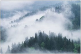 Tablou - Copacii în ceață (90x60 cm)