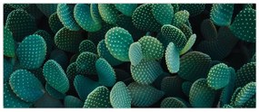 Tablou - Opuntia (120x50 cm)
