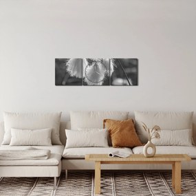Tablou - Iarba de bumbac (cu ceas) (90x30 cm)