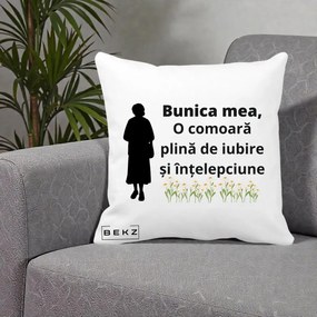Cadou pentru Bunica - Perna Personalizata Bunica Mea Comoara Iubire Intelepciune Silueta cu Nepoata, 40x40 cm, Alba Mata, Husa Detasabila, Perna Inclusa, BEKZ®