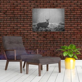 Tablou - Căprioare in pădure,alb-negru (70x50 cm)