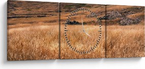 Tablou cu câmp (cu ceas) (90x30 cm)