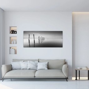Tablou cu nivelul de lac alb negru (120x50 cm)