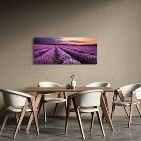 Tablou - Câmp de lavandă la apus de soare (120x50 cm)