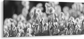 Tablou - Pajiște de vară (120x50 cm)