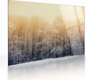 Tablou pe sticlă cu pădure geroasă (70x50 cm)