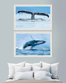Tablou 2 piese Framed Art Whales