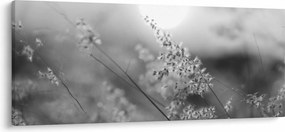 Tablou - Pajiște de toamnă (120x50 cm)