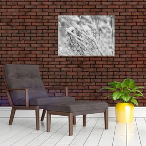 Tablou pe sticlă - Ramuri înzăpezite (70x50 cm)