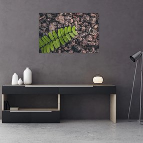 Tablou cu planta verde (90x60 cm)