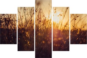 Tablou - Câmp la apus de soare (150x105 cm)