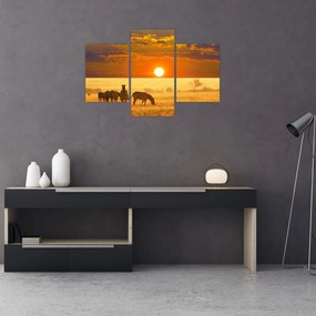 Tablou - Zebre cu apus de soare (90x60 cm)
