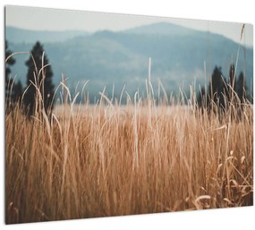 Tablou pe sticlă - detaliu spațiului de luncă (70x50 cm)