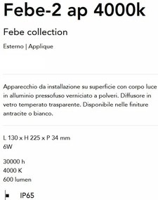 Mini Spot LED aplicat Exterior, Antracit, Protectie IP65, Febe-2 ap 4000k