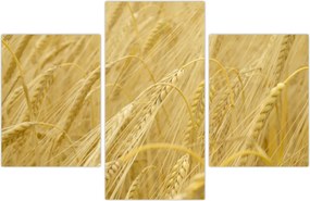 Tablou - Orz (90x60 cm)