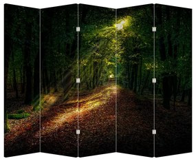 Paravan - Poteca prin pădure (210x170 cm)
