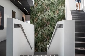 Fototapet, Mischievous Monkeys, Lush, Rebel Walls
