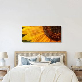 Tablou - Floarea-soarelui (120x50 cm)