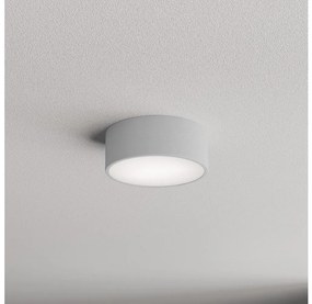 Plafonieră Brilagi CLARE 1xE27/24W/230V d. 20 cm gri