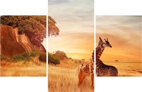 Tablou Girafe în Africa (90x60 cm)