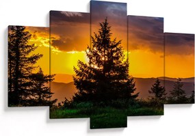 Tablou - coniferi (150x105 cm)