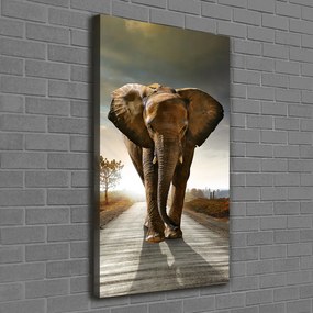 Tablou pe pânză canvas Elefant de mers pe jos