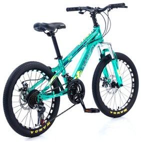 Bicicleta Fulger by Caraiman, roti 20 sau 24 inch, cadru otel, frane pe disc, turcoaz, BC07