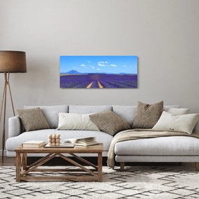 Tablou - Câmp de lavandă (120x50 cm)