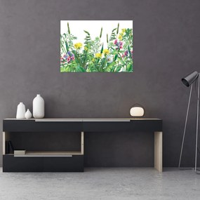 Tablou pe sticlă - Flori de pajiște pictate (70x50 cm)