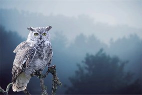 Tablou - Bufniță de zăpadă (90x60 cm)