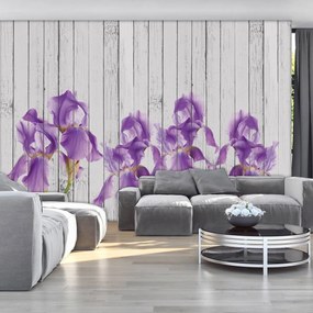 Fototapet - Iris pe scănduri de lemn (152,5x104 cm), în 8 de alte dimensiuni noi