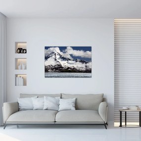 Tablou - Parcul Național Kenai Fjords (90x60 cm)