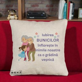 Cadou pentru Bunici - Perna Personalizata Bunicii Iubirea Infloreste Bunici cu Nepoata Colorat, 40x40 cm, Bej Canapea, Husa Detasabila, Perna Inclusa, BEKZ®