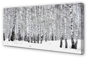 Tablouri canvas mesteceni de iarnă