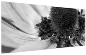 Tablou - Floare în alb-negru (120x50 cm)