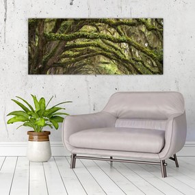 Tablou - Oaks Avenue, Charleston, Carolina de Sud, SUA (120x50 cm)