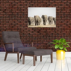 Tablou - Turmă de elefanți (70x50 cm)