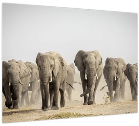 Tablou - Turmă de elefanți (70x50 cm)