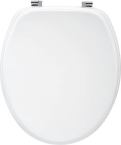 Capac WC, 37 x 43 cm