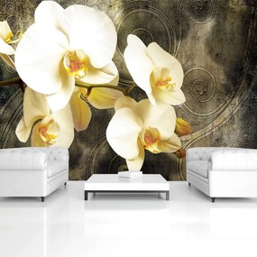 Fototapet - Orhidee (152,5x104 cm)