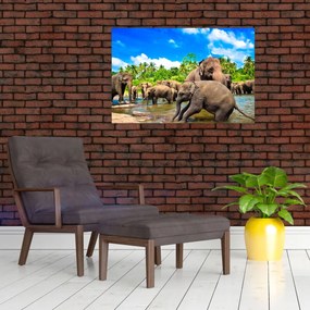 Tablou - Elefanți, Sri Lanka (90x60 cm)