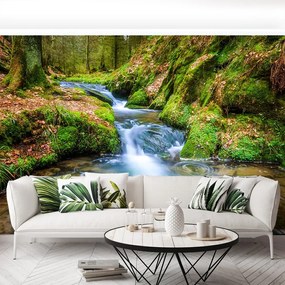 Fototapet Forest Stream